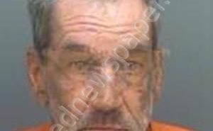 <B>YOUNGBLOOD</B>, <B>DONALD</B> WAYNE #, Pinellas County, Florida - 2019-08-20 10:13:55