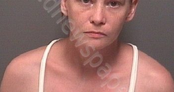 DELK, BRIDGET ANN | 2019-08-20 21:55:00 Morgan County, Alabama Booking