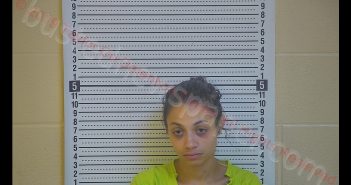 BROOKLYN SPAULDING | 2019-08-21 15:46:00 Taylor County, Kentucky Booking