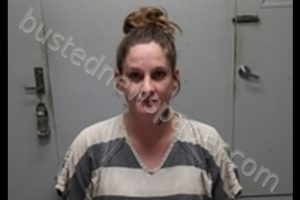 JESSICA LYNN ISHMAEL | 2019-08-21 11:00:00 Livingston County, Missouri Booking