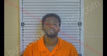 STEVEN D MITCHELL | 2019-08-21 11:01:00 Taylor County, Kentucky Booking