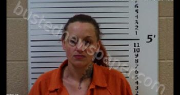 JOHNSON, AMBER NICOLE | 2019-08-21 12:04:00 Cherokee County, North Carolina Booking