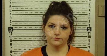 SUSAN LOUANN CURETON | 2019-08-21 16:44:00 Scott County, Missouri Booking