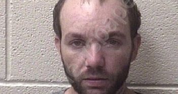 GOINS, BRANDON <B>LEE</B> #, <b>Alexander</b> County, North Carolina, Alexander County, North Carolina - 2019-08-22
