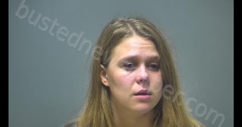 KAYLA ANN WILKINS | 2019-08-24 03:50:00 Isabella County, Michigan Booking