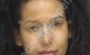 NEWELL, AMANDA RENEE | 2019-08-24 08:56:37 Pinellas County, Florida Booking