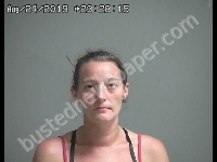 JOHNSON SAMANTHA | 2019-08-24 Sandusky County, Ohio Booking