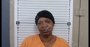 SHIRLEY A ANDERSON | 2019-08-25 19:12:00 Scott County, Missouri Booking