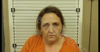 KIMBELY D WOODWORTH | 2019-08-25 20:33:00 Scott County, Missouri Booking