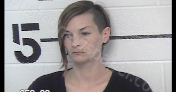 TALIB, RACHEL RAEANN | 2019-08-26 16:06:00 Chase County, Kansas Booking