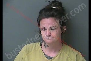 TOSHA NICOLE LUNSFORD | 2019-08-26 16:20:08 Howard County, Indiana Booking