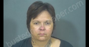 <B>ANGEL</B> RENII <B>WRIGHT</B>-MCNERLIN #, St. Joseph County, Indiana - 2019-08-27 04:08:00