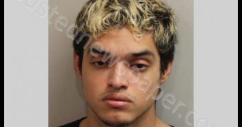 CHIRINOS, JEREK YIMY | 2019-08-28 Leon County, Florida Booking