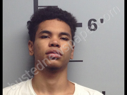 HALL, ANTHONY JANSEN #, Benton County, Arkansas - 2019-08-28 10:49:00