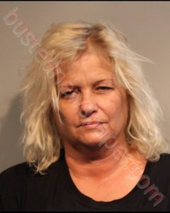 BARBARA ANN LAWSON | 2019-08-28 Southwest Regional Jail, Virginia Booking