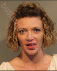 MEGAN FAYE KISER | 2019-08-28 Southwest Regional Jail, Virginia Booking