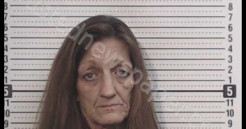 LEESON, <B>LISA</B> J #, Ross County, Ohio - 2019-08-28 17:04:00