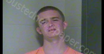 BRANDON RAY PERKINS | 2019-08-29 17:37:00 Woodford County, Kentucky Booking