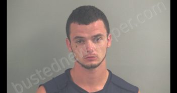 EDWARD D BROWN JR | 2019-08-29 03:40:00 Logan County, Kentucky Booking