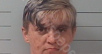 BIGGERSTAFF, TONYA LORETTA | 2019-08-29 09:13:00 Burke County, North Carolina Booking