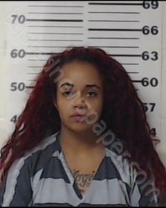 TAYLOR, ERICA NICOLE | 2019-08-29 Henderson County, Texas Booking