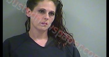 KASSONDRA LEANN SMITH | 2019-08-29 14:58:00 Russell County, Kentucky Booking