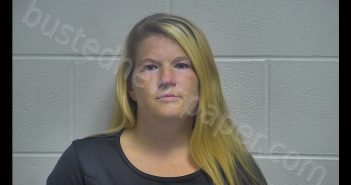 TARA LYNN BUCKNER | 2019-08-29 16:42:00 Oldham County, Kentucky Booking
