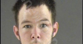 LEAKE ARON JOHNSON | 2019-08-30 10:12:00 Blue Ridge Regional Jail, Virginia Booking