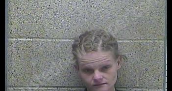 KAITLYNN LACHELLE BRIDWELL | 2019-08-30 16:01:00 Henderson County, Kentucky Booking