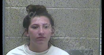 BROOK T GREEN | 2019-08-30 14:14:00 Henderson County, Kentucky Booking