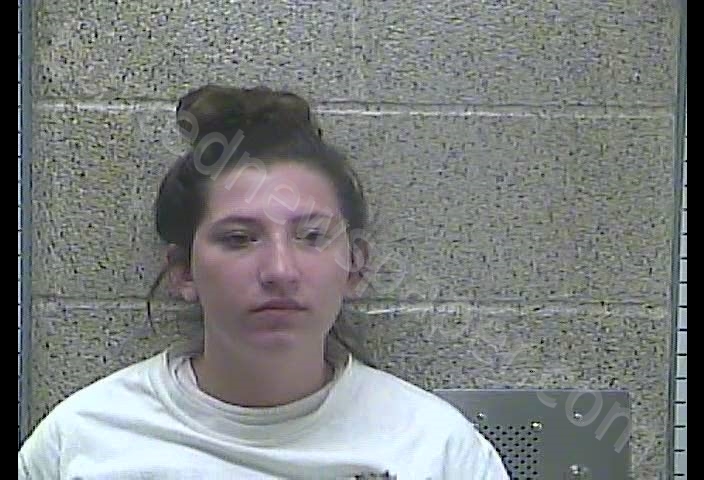 BROOK T GREEN #, Henderson County, Kentucky - 2019-08-30 14:14:00