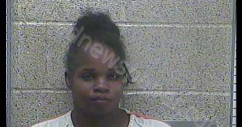 KRISTI NICOLE JOHNSON | 2019-08-31 11:34:00 Henderson County, Kentucky Booking