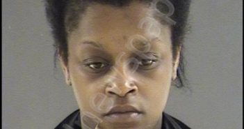 MIRANDA JANAY MOON | 2019-08-31 09:30:00 Blue Ridge Regional Jail, Virginia Booking