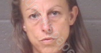 BURRELL, KRISTIN NICOLE | 2019-08-31 09:23:00 Buncombe County, North Carolina Booking
