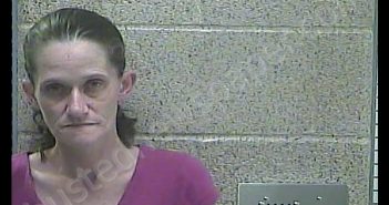 MINDY VEACH | 2019-08-31 18:12:00 Henderson County, Kentucky Booking