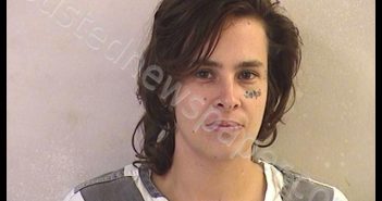 NELSON, NIKKI PATRICE | 2019-09-01 12:46:00 Dickinson County, Kansas Booking