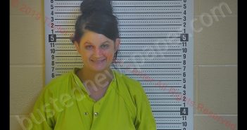 HOLLY SHELTON | 2019-09-01 23:25:00 Taylor County, Kentucky Booking