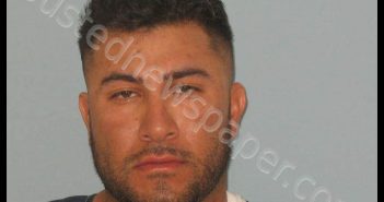 MELGAREJO, ESTEBAN | 2019-09-01 Andrews County, Texas Booking