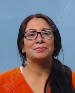 OCHOA, LYDIA ANN | 2019-09-04 Brazoria County, Texas Booking