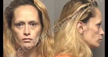 SOWLES,TIFFANY ANN | 2019-09-04 23:45:00 Saline County, Kansas Booking