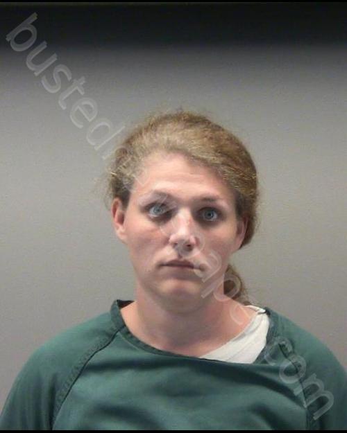 ATKINS, MEGAN NICHOLE #, Montgomery County, Ohio - 2019-09-05 11:41:00