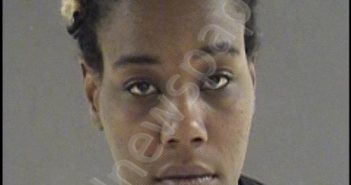 LACHELLE LYNN STARKS | 2019-09-06 16:17:00 Blue Ridge Regional Jail, Virginia Booking