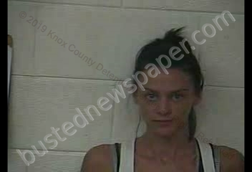 BRITTANY R THOMPSON-SHERRILL #, Knox County, Kentucky - 2019-09-06 15:43:00