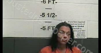 CHRISTINA G SILER | 2019-09-06 03:18:00 Whitley County, Kentucky Booking