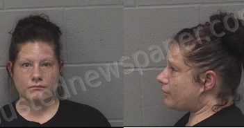 BELL, VALERIE RENEE | 2019-09-07 01:51:00 Crawford County, Kansas Booking