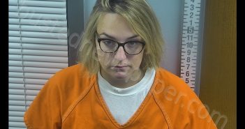 MICHELLE A MACHALA | 2019-09-09 08:35:00 Ottawa County, Ohio Booking