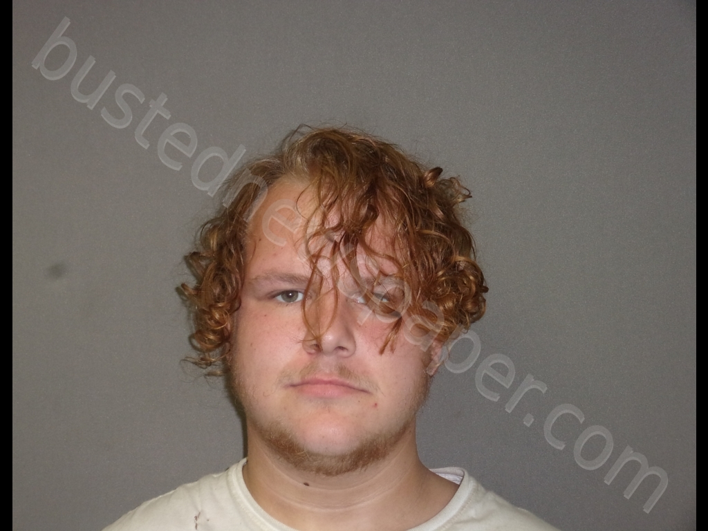 JOSHUA CARL RUNNINGDEER SPINK #, Randolph County, Missouri - 2019-09-09 12:12:00