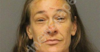 <B>BRAZEE</B>, <B>LAURA</B> JEAN #, Guilford County, North Carolina - 2019-09-10