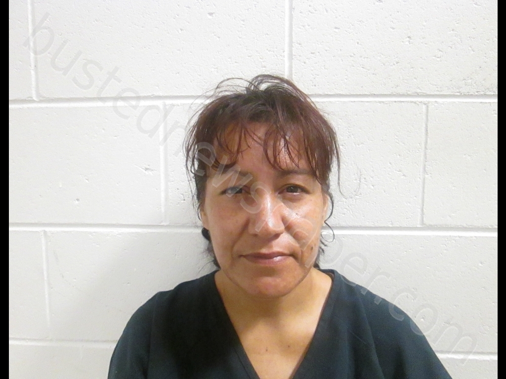 SHEILA SEDILLO #, Socorro County, New Mexico - 2019-09-10 18:42:00