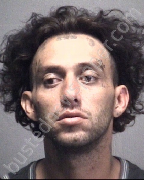 RAMIREZ, JOHAN ERNEST #, New Hanover County, North Carolina - 2019-09-10